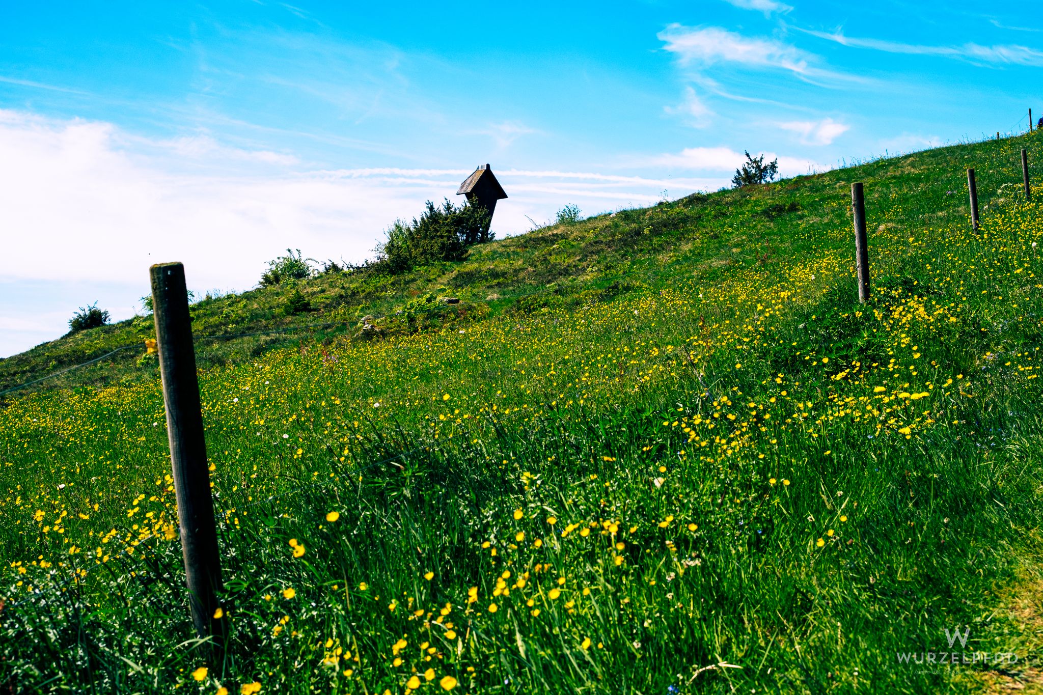 Beim Ibacher Friedenskreuz